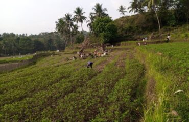 WhatsApp Image 2022-12-13 at 18.26.45 (1) WhatsApp Image 2022-12-13 at 18.26.45 (1)